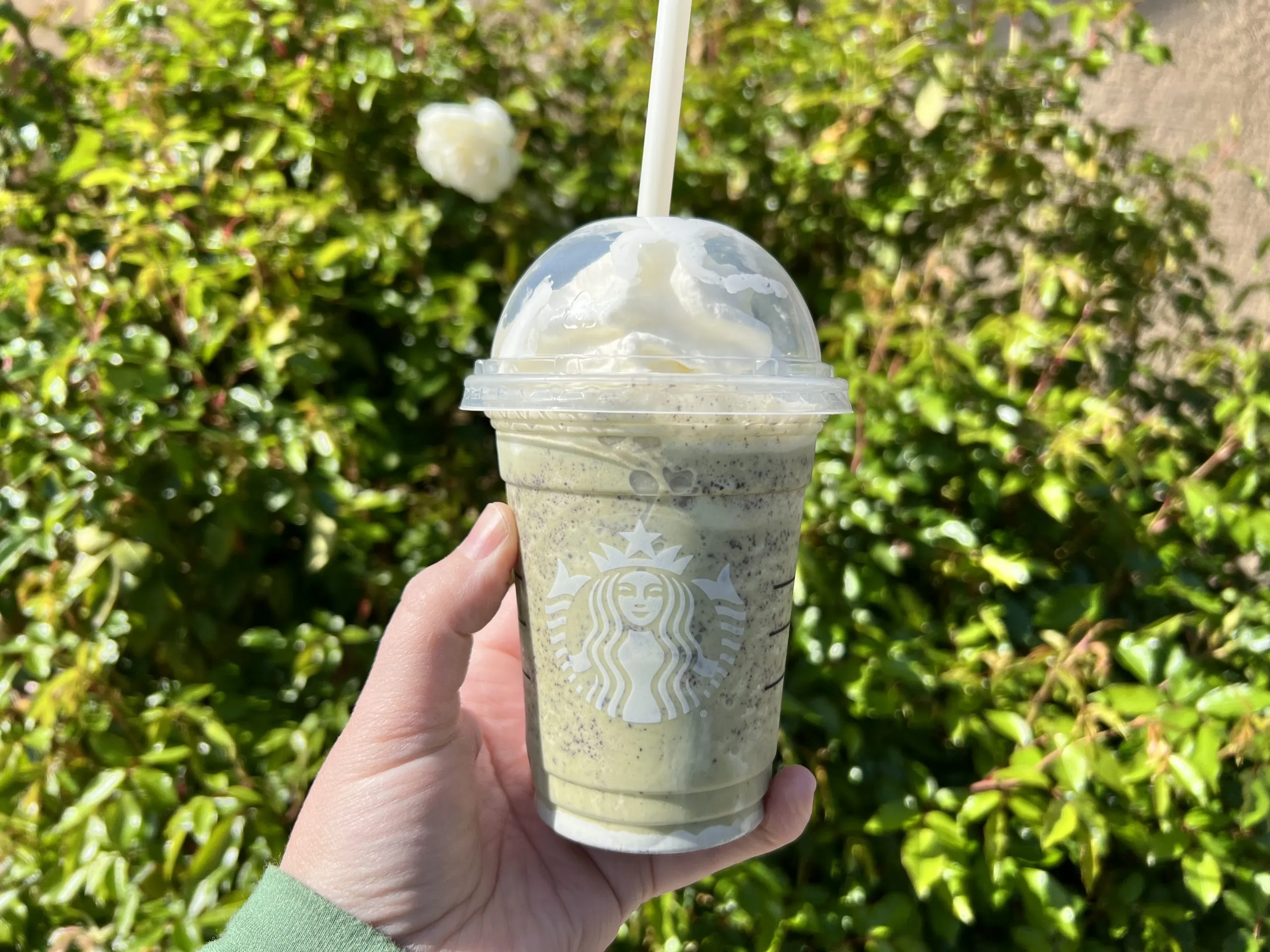 Thin Mint Frappuccino (Starbucks Secret Menu)