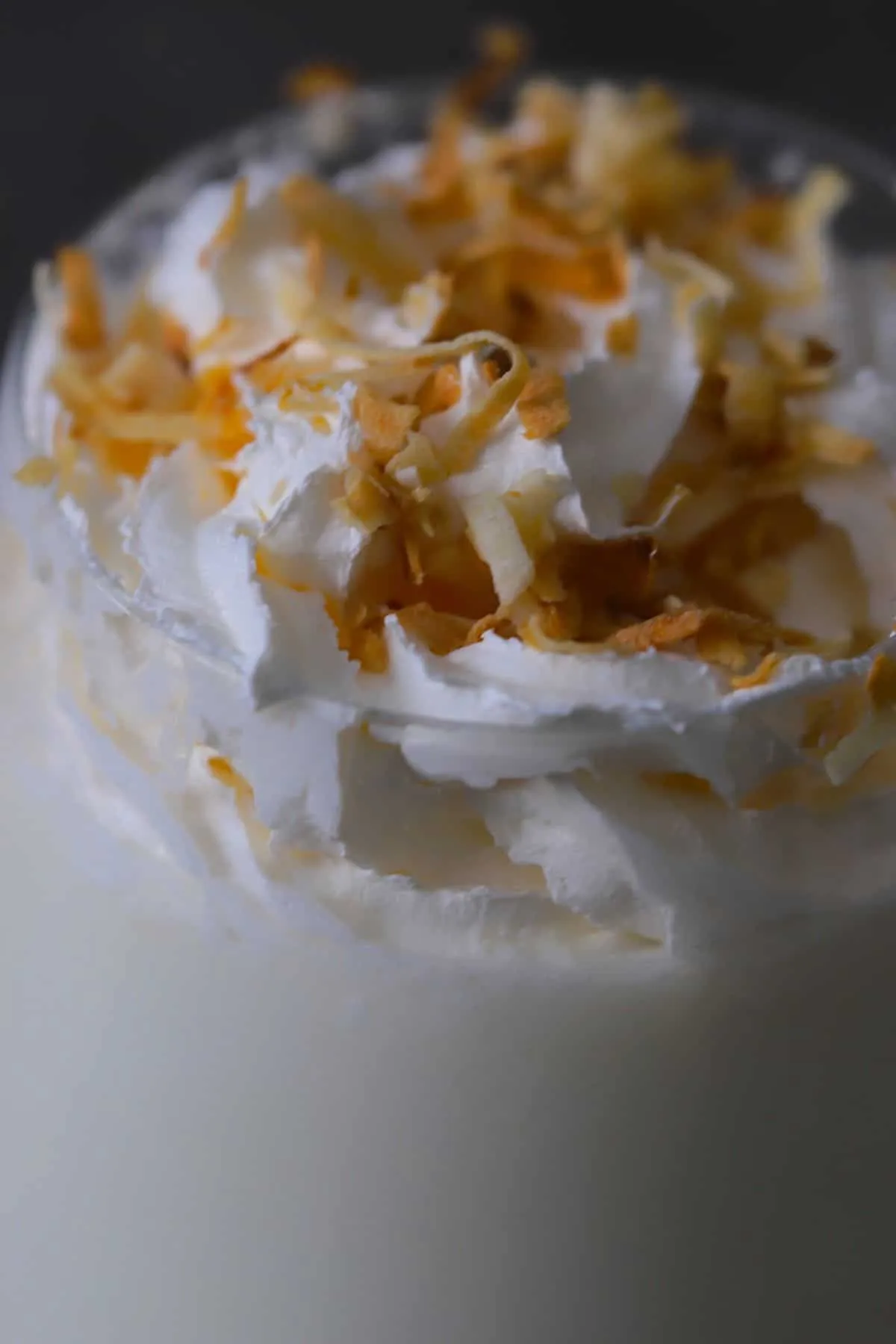 Toasted Coconut Milk Shakes