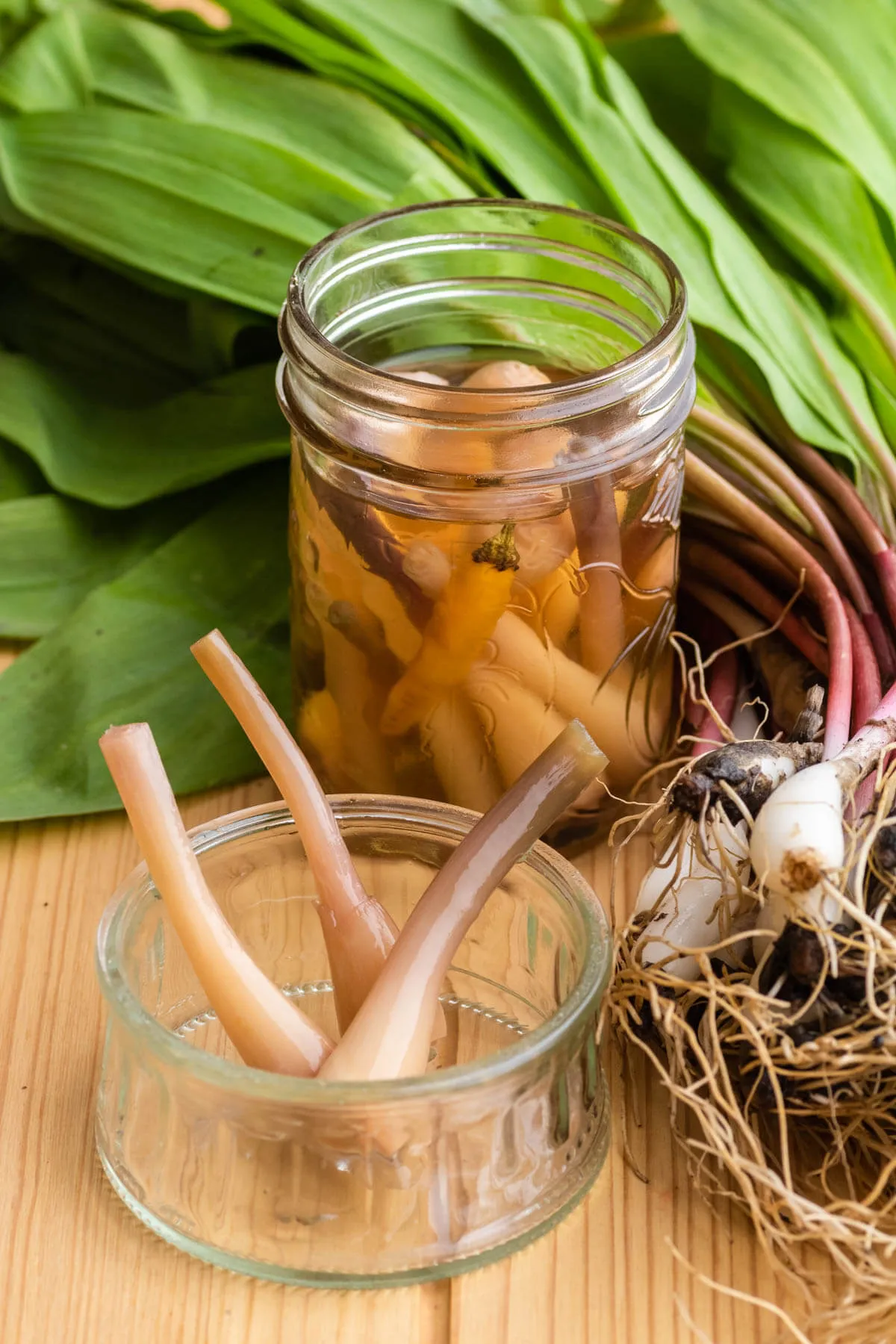 Trio of Spring Pickles: Ramps, Rhubarb, and Fiddleheads