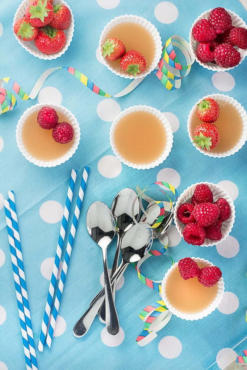 Two Ingredient Fruit Juice Jelly