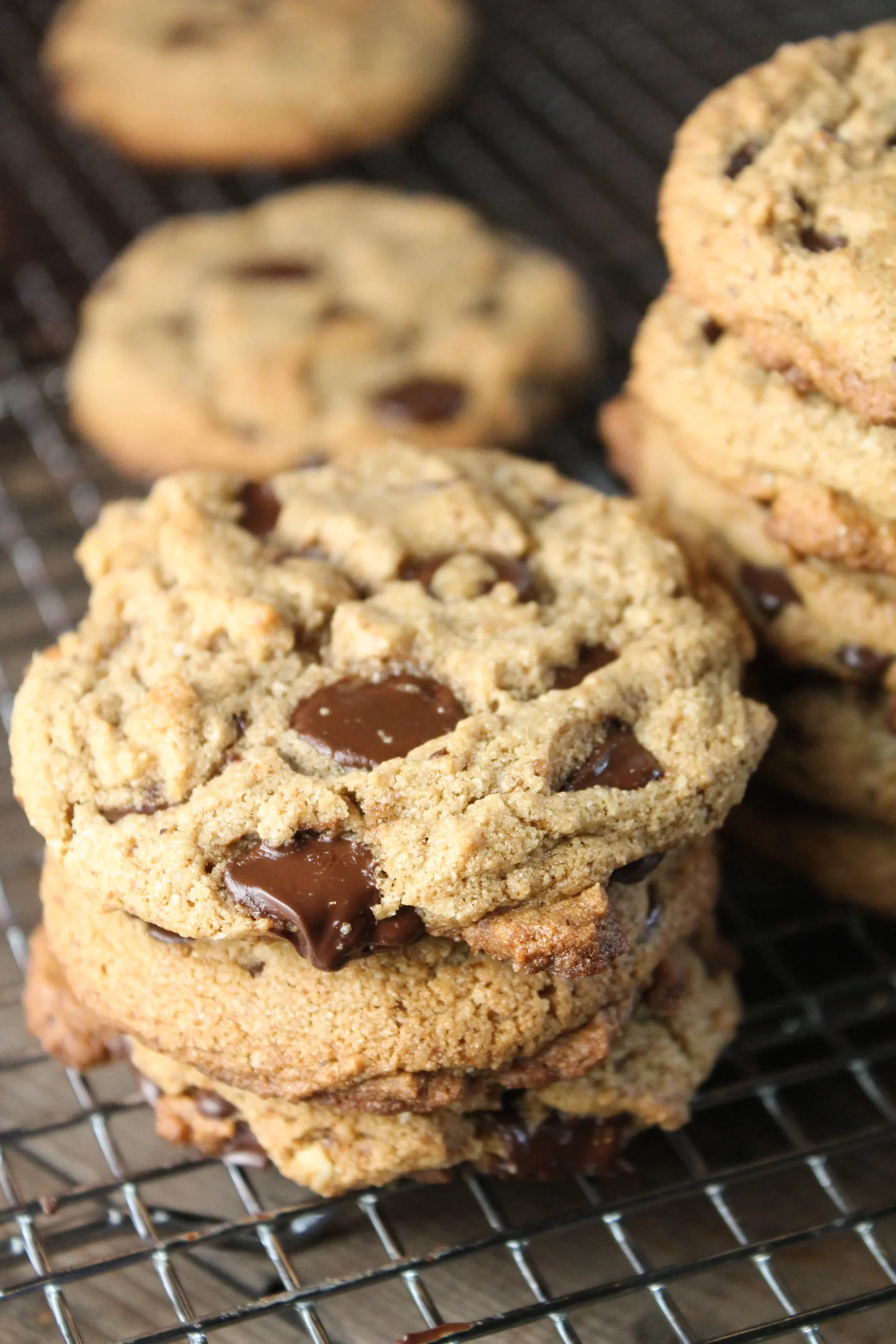 Ultimate Soft and Chewy Paleo Chocolate Chip Cookies