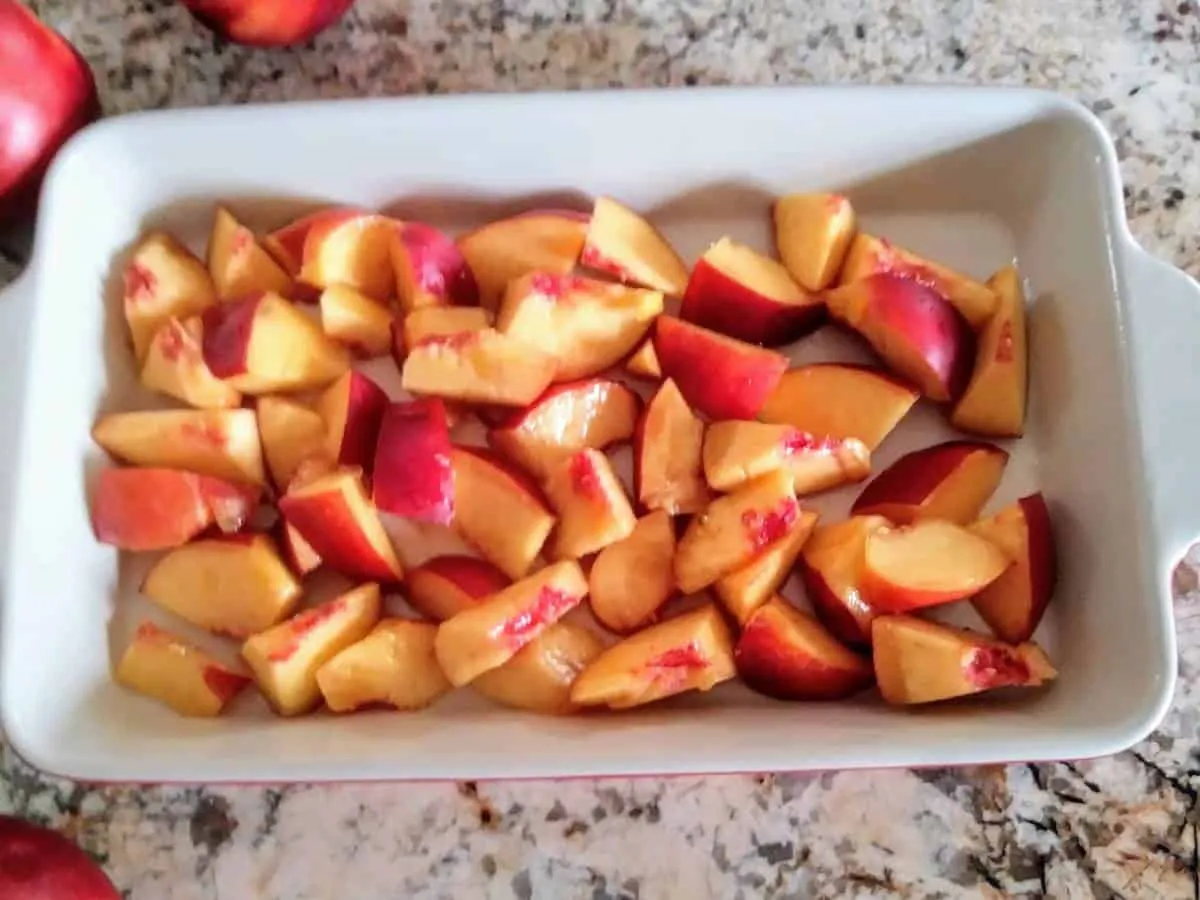 Vegan Instant Pot Nectarine Berry Crisp