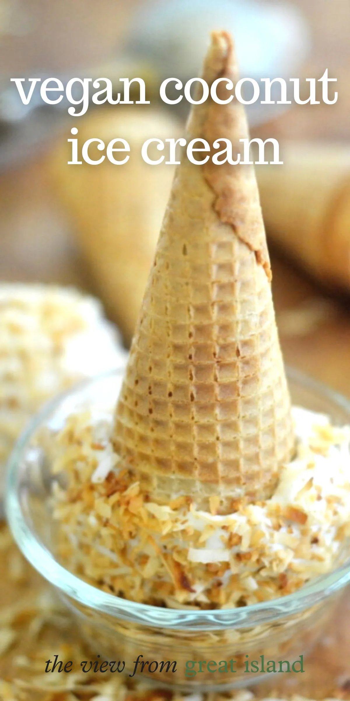 Vegan Toasted Coconut Ice Cream