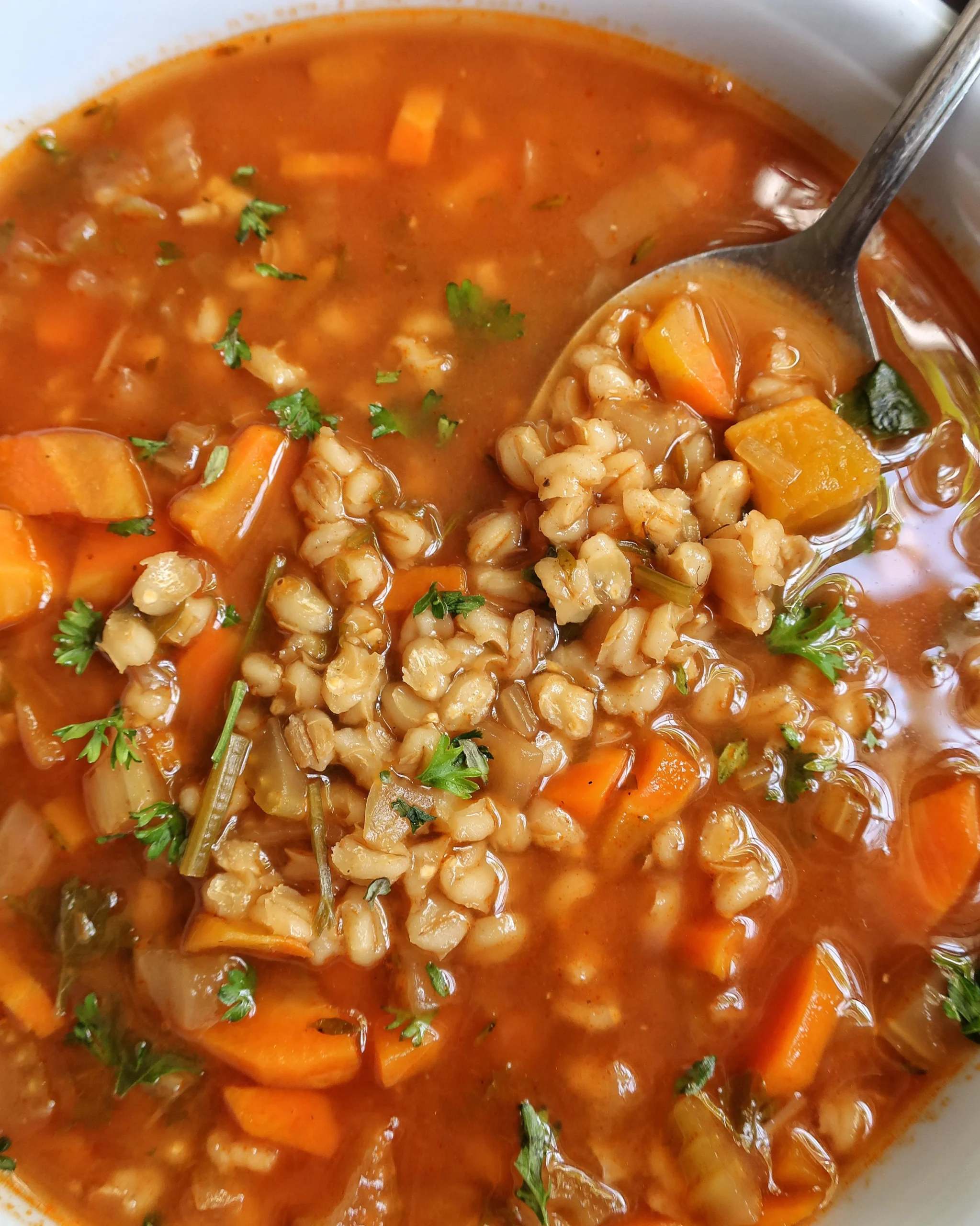 Vegetable Barley Soup Vegan