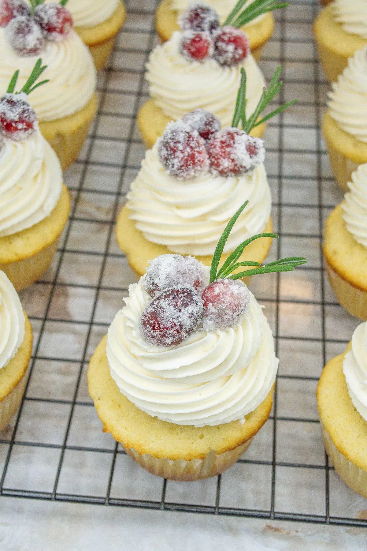 White Chocolate Cranberry Cupcakes
