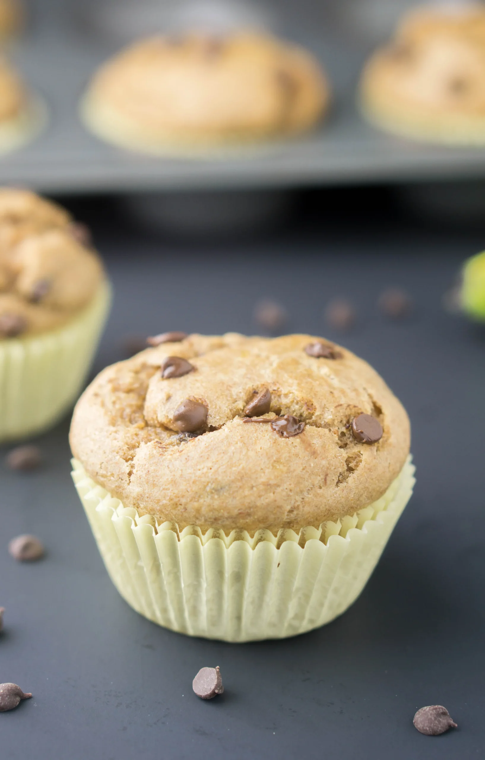 Whole Wheat Chocolate Chip Banana Peanut Butter Muffins