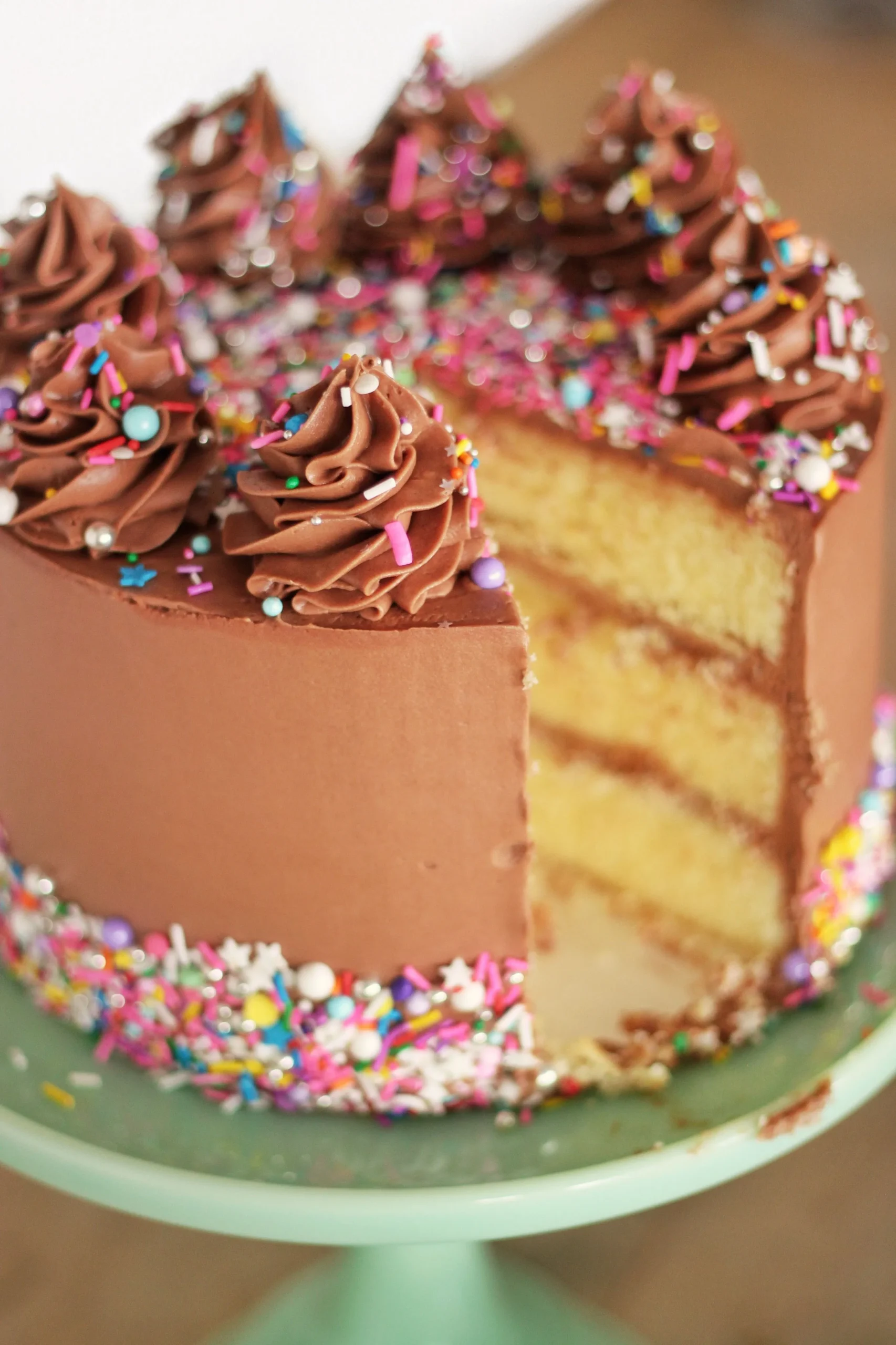 Yellow Cake with Rich Chocolate Buttercream
