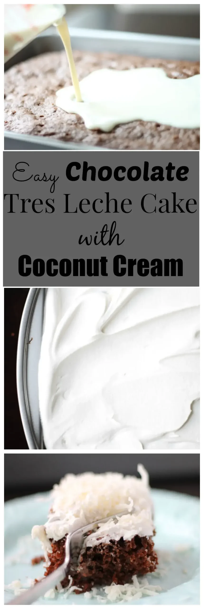 chocolate coconut tres leche cake lightened up