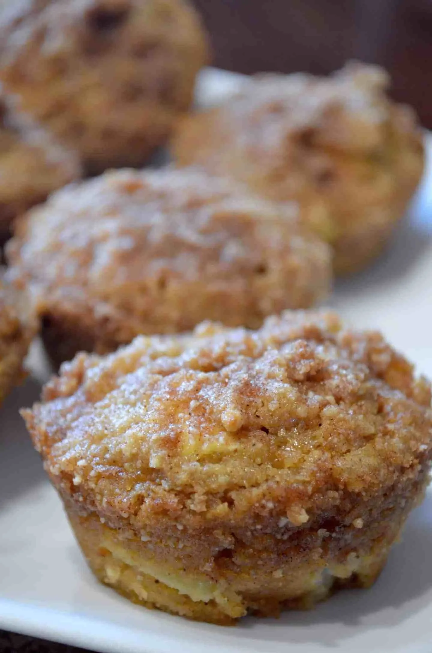 cinnamon apple muffins gf low carb sugar free