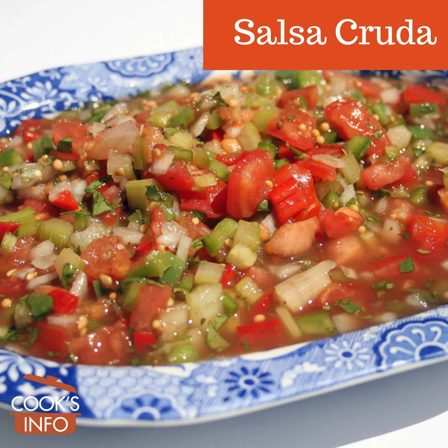 salsa gruda fresh tomato salsa
