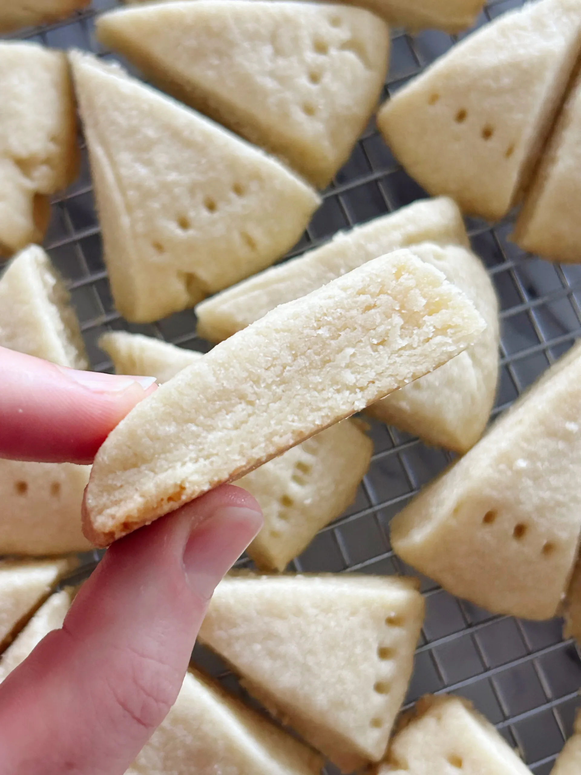 toasted oatmeal coconut shortbread wedges